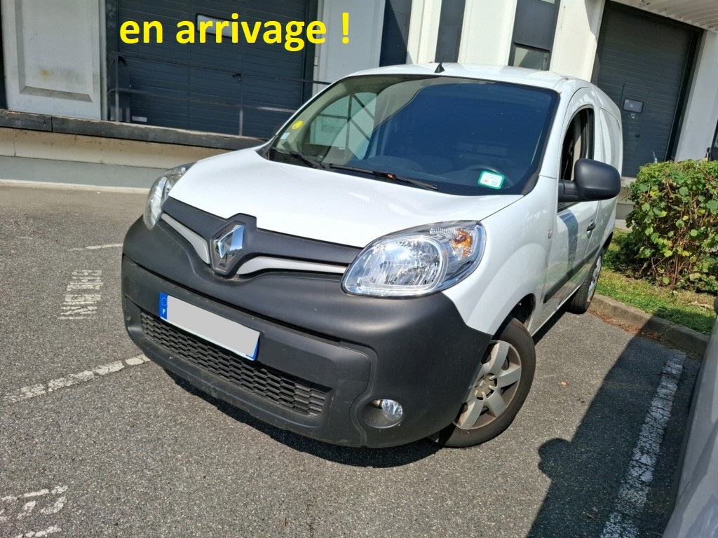 RENAULT KANGOO EXPRESS BLUE DCI 95 EXTRA R-LINK - porte lat